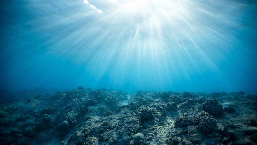 the Greek Yogi, Diving classes in Athens, Greece, μαθήματα κατάδυσης στην Αθήνα